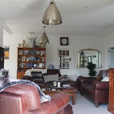 Beautiful Bungalow Cbd Blenheim Dış mekan fotoğraf