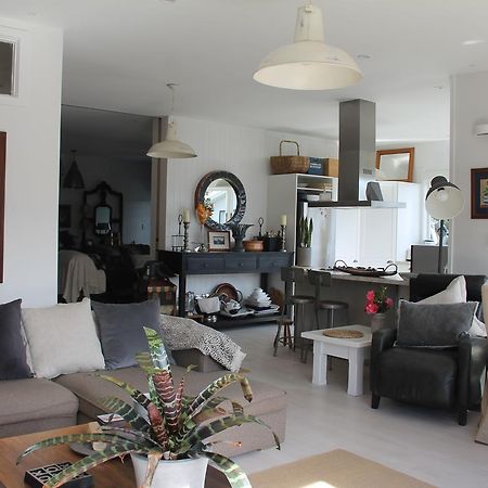 Beautiful Bungalow Cbd Blenheim Dış mekan fotoğraf