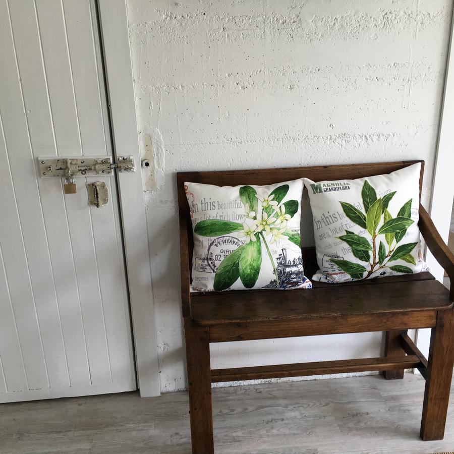 Beautiful Bungalow Cbd Blenheim Dış mekan fotoğraf